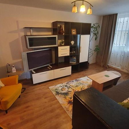 Apartament Cosbuc Baia Mare Zewnętrze zdjęcie