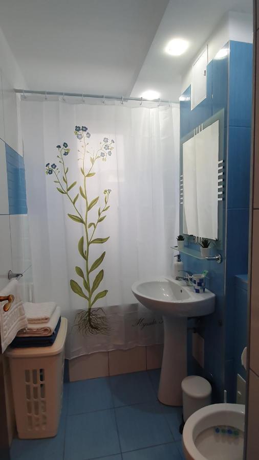 Apartament Cosbuc Baia Mare Zewnętrze zdjęcie
