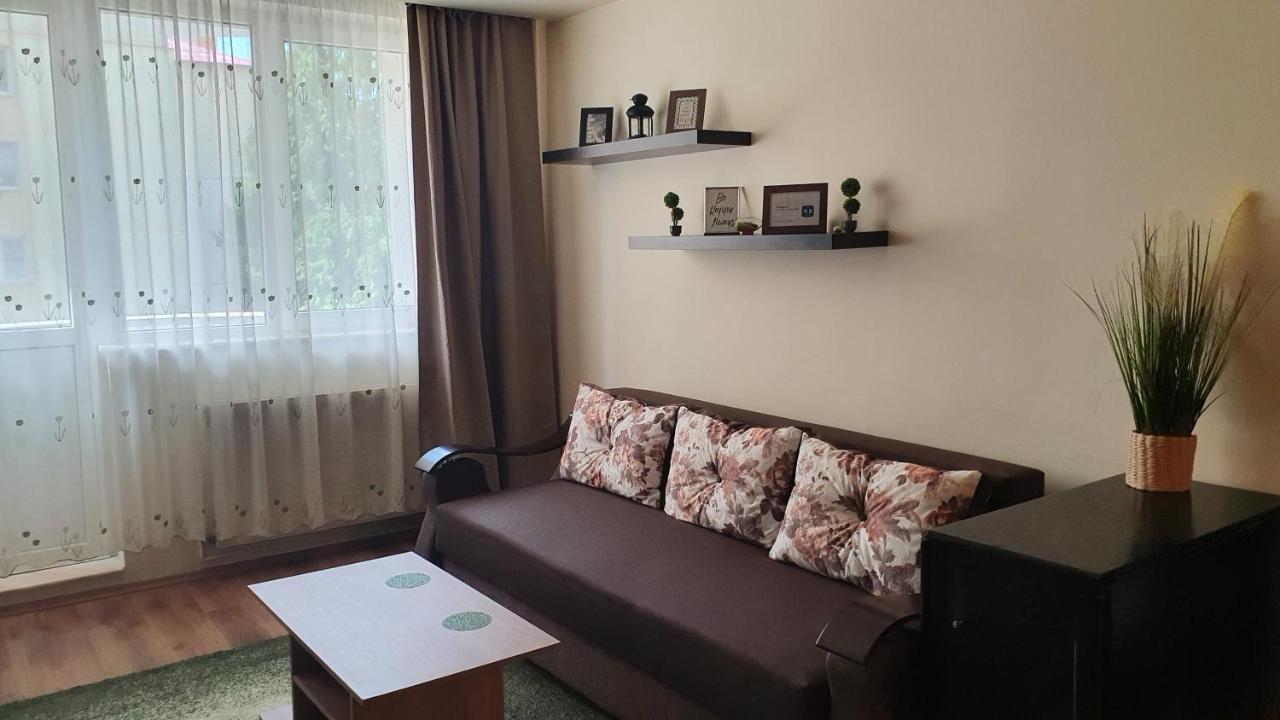 Apartament Cosbuc Baia Mare Zewnętrze zdjęcie