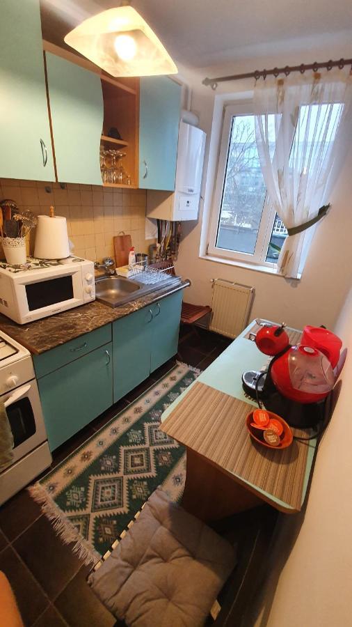Apartament Cosbuc Baia Mare Zewnętrze zdjęcie