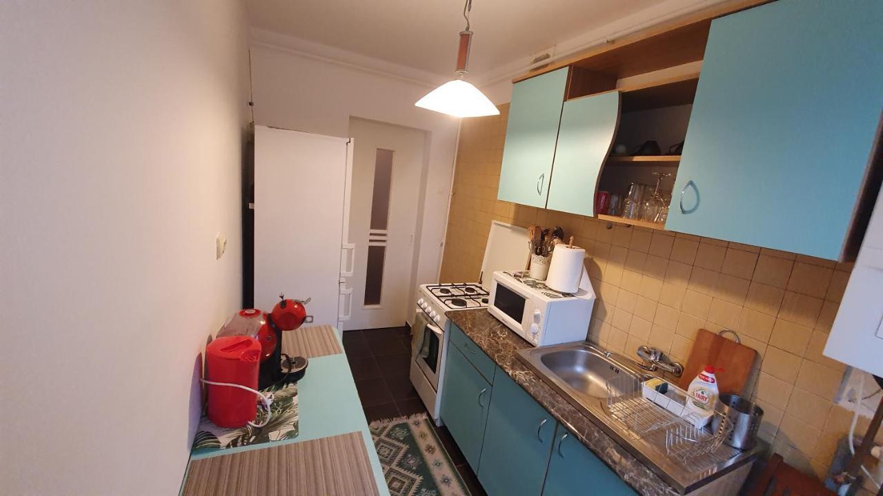 Apartament Cosbuc Baia Mare Zewnętrze zdjęcie